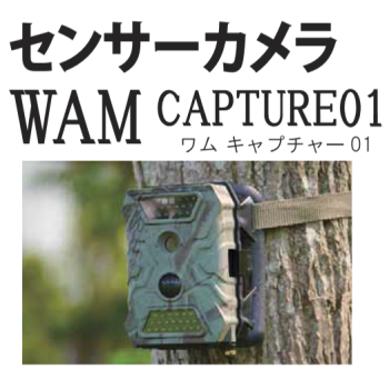 日本語表示機能搭載の人気モデル・野生動物の調査・対策に！野生動物のさまざまな調査用として！ 赤外線カメラによる自動撮影センサーカメラ。人が操作をしなくてもセンサー範囲内の温度と動作に反応して、自動的にシャッターを切るセンサーカメラ。各種野生動物の調査用としてとても有効です。センサーカメラワムキャプチャー01WAM CAPTURE01：テクノ株式会社製品名：センサーカメラワムチャプチャー01サイズ：幅９，８×高さ１３，１×奥行き７，７ｃｍ 重量：３１０ｇ  最大画素数：１２００万画素 保存方法：ＳＤカード（別売・最大３２GBまで対応） 電源：単３電池×４もしくは８本（別売り）撮影可能角度：４２度 センサー反応距離：約１５ｍ保障期間：１年間 販売元：ファームエイジ株式会社野生動物のさまざまな調査用として！赤外線カメラによる自動撮影センサーカメラ人が操作をしなくてもセンサー範囲内の温度と動作に反応して、自動的にシャッターを切るセンサーカメラ。各種野生動物の調査用としてとても有効です。当社のセンサーカメラは日中はカラー画像、夜間は赤外線LEDフラッシュによるモノクロ画像で、静止画、動画を撮影します。撮影時の日時、気温、月の満ち欠けも記録しますので、生息・生態調査などでの試料としても活用できます。また複数台のカメラを使用しての調査では、個々のカメラに個別の名称を設定できますので撮影画像と撮影場所の確認が容易に行えます。これまでにない鮮明な高画像！（最大１２００万画素）待望の日本語表示機能。コンパクトながら高性能！トリガースピード１秒以下！２，０インチディスプレイモニター内臓！ノーグロウ搭載機能 静止画&動画ＯＫ！（HD動画）：静止画と動画の撮影が可能なタイプで日中はカラー、夜間は赤外線によるモノクロで撮影されます。撮影可能角度は４２度！NO-GLOW機能：夜間撮影時のフラッシュを不可視光線（人や動物の目に見えない波長）で行う機能です。 日本語表示機能：画面表示される文字がすべて日本語表記になります。インターバル撮影機能：一定間隔で静止画を撮影し、時間経過による変化を記録するための機能です。連続撮影機能：静止画を７枚まで連続撮影できます。トリガースピード：赤外線センサーが感知してからシャッターを切るまでの時間は１秒以内です。モニター内臓：ディスプレイモニター内臓で撮影したデータをその場で確認するなどが出来ます。日本語表示機能搭載の人気モデル・野生動物の調査・対策に！野生動物のさまざまな調査用として！ 赤外線カメラによる自動撮影センサーカメラ。人が操作をしなくてもセンサー範囲内の温度と動作に反応して、自動的にシャッターを切るセンサーカメラ。各種野生動物の調査用としてとても有効です。センサーカメラワムキャプチャー01WAM CAPTURE01：テクノ株式会社