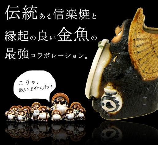 信楽焼き！たぬき水槽【金魚鉢】の通信販売